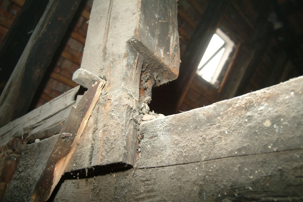 photo25.jpg
