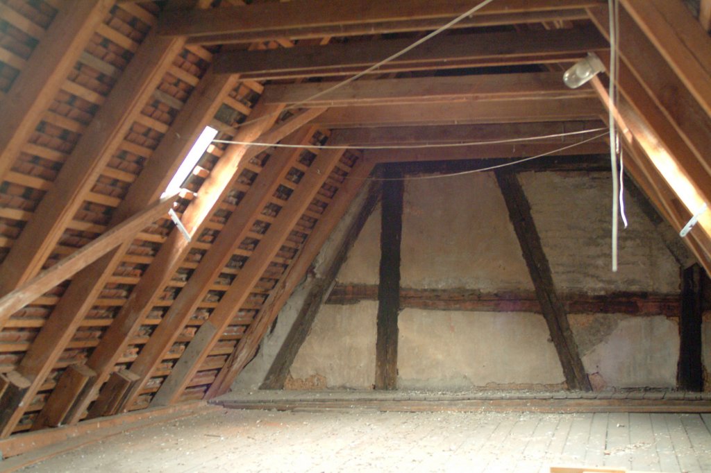 photo6.jpg